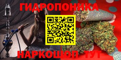 a pvp Абинск