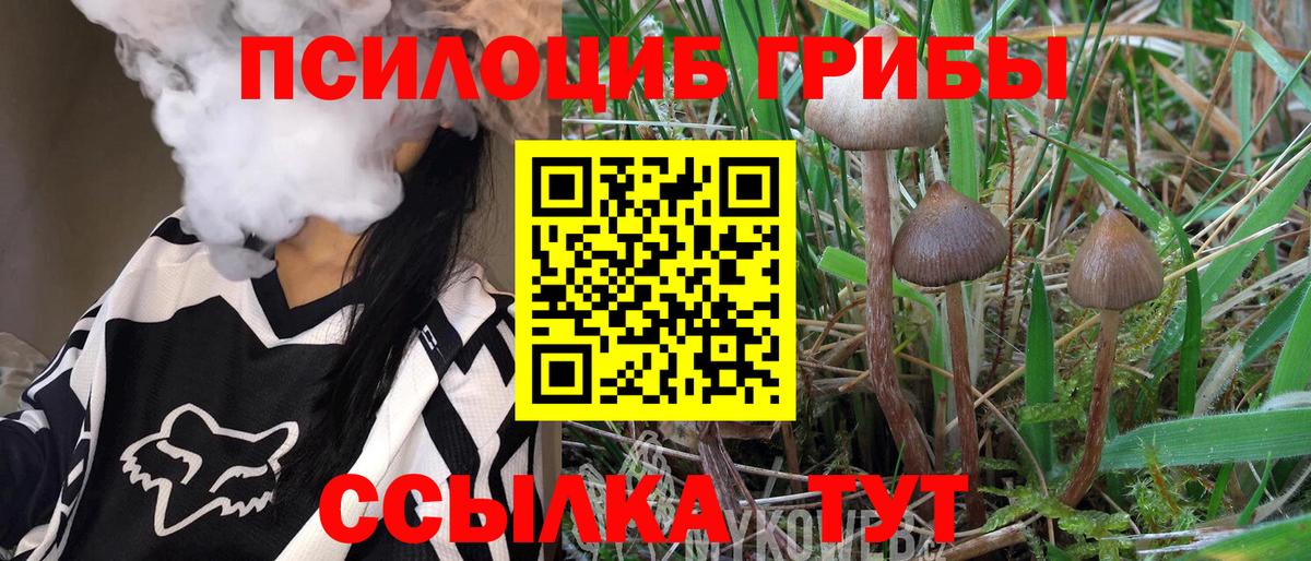 Псилоцибиновые грибы прущие грибы Александров